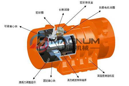振動篩電機結構圖 振動篩電機結構圖